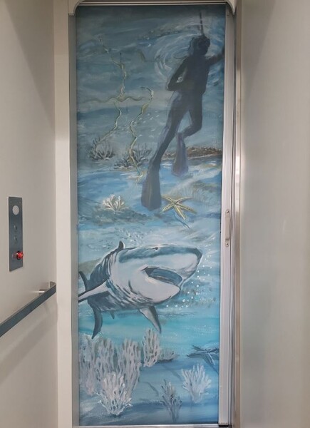 Wall Mural Installation Services in Alamonte Springs, FL (1)